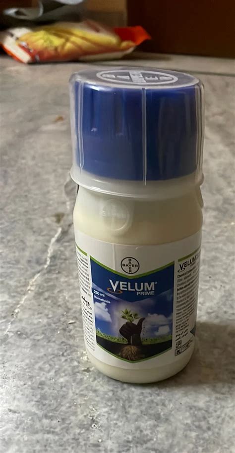 Liquid Bayer Velum Prime Insecticide 1 Litre At Rs 7000 Litre In