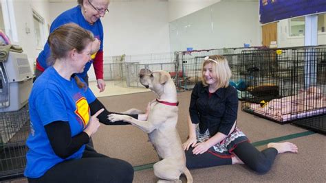 See The Dogs Animal Rescue Wins Free Howell Store