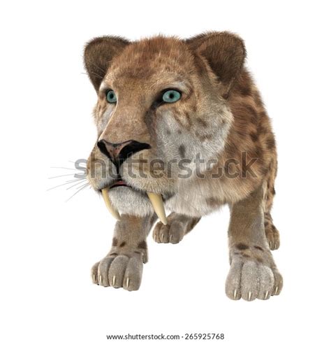 3d Digital Render Smilodon Saber Toothed ภาพประกอบสต็อก 265925768