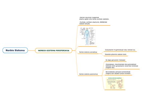 Nerbio Sistema Periferiko Mind Map