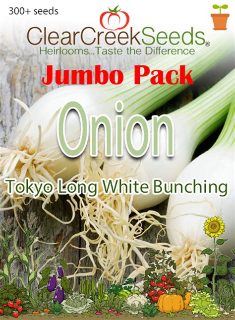 Onion Tokyo Long White Bunching 300 Seeds Jumbo Pack Clear Creek