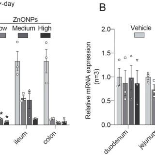 Effects Of Exposure To Znonps On Transcriptome Sequencing In Adult