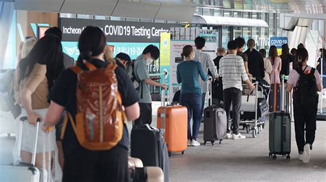 입국 전 코로나 검사 폐지추석 연휴 통행료 면제 네이트 뉴스