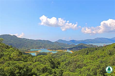 行山好去處｜全港7大水塘輕鬆行山路線！港版千島湖大潭水塘香港仔水塘九龍水塘 Uhk 港生活