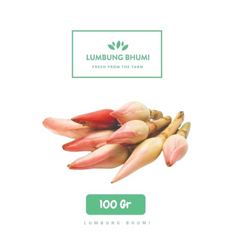 Jual Lumbung Bhumi Kecombrang 100 Gr Sayur Curah Shopee Indonesia