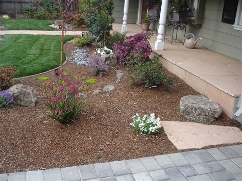 Drought Tolerant Landscaping Bay Area and Placer County