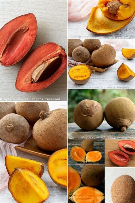 Descubre Las Sorprendentes Variedades De Zapote Y Sus Diferencias