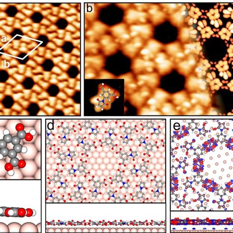 Self Assembled Bcpm Network On Au111 A Scanning Tunneling Microscopy