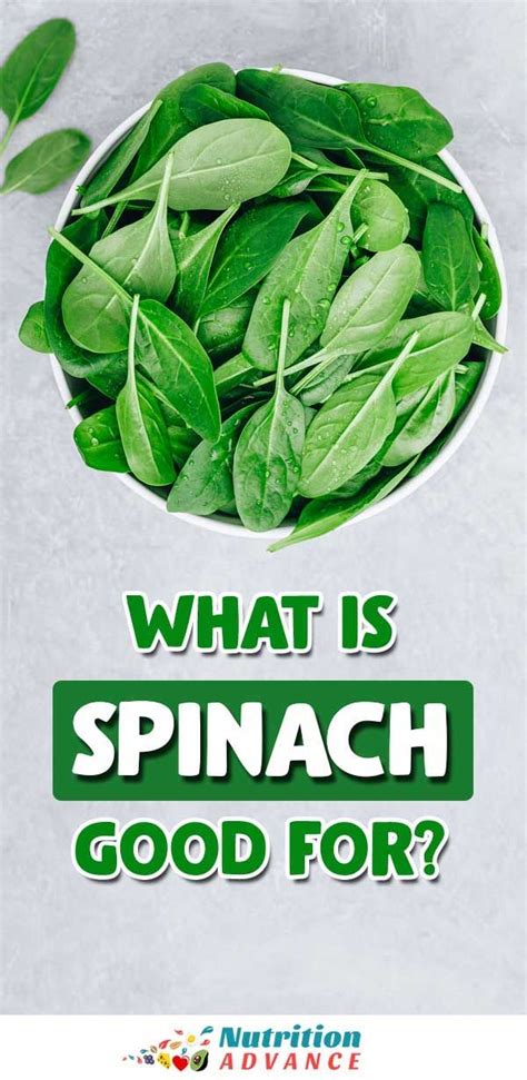 9 Health Benefits Of Spinach And Full Nutrition Facts What Is