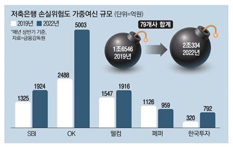 내돈 괜찮을까5대 저축은행 손실위험 대출 3년새 50 쑥 네이트 뉴스