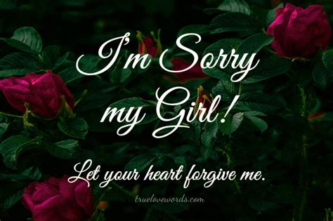 45 Sorry Messages For Girlfriend - I'm Sorry For Hurting You