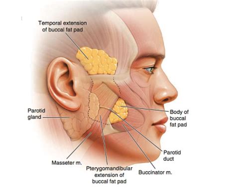 Pin By Layni On D N C N Th Facial Aesthetics Botox Injections Botox