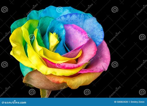 gousicteco: Neon Rainbow Roses Wallpaper Images