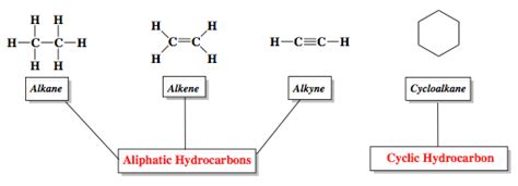 Structure Of Hydrocarbons Worksheet Naming Alkanes Pdf Sch 4u0 Unit Hydrocarbons Worksheet