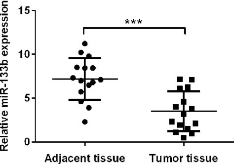 Figure From Mir B Acts As A Tumor Suppressor And Negatively