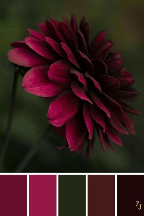 Pallet Burgundy Wine Berry Color Schemes Colour Palettes Color Schemes