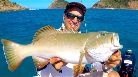 Fishing 120km Offshore And Coconut Fish Numus Ep497 Youtube