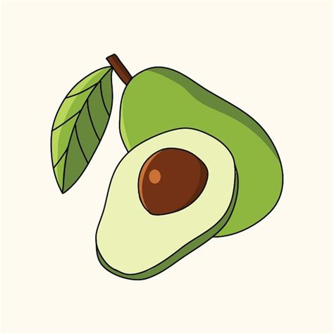 Ilustración De Vector De Fruta De Aguacate Vector Premium