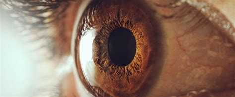 LASIK Surgery For Thin Cornea Best Options For Patients