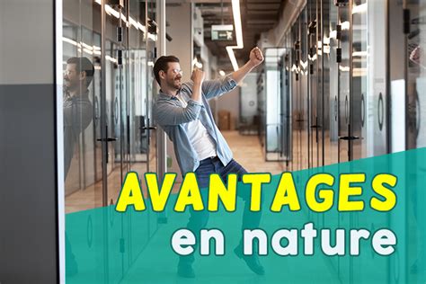 Avantages En Nature Exemples D Finition Imp Ts Appvizer