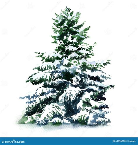 Christmas Tree Covered Snow In Winter, Isolated Stock Illustration ...