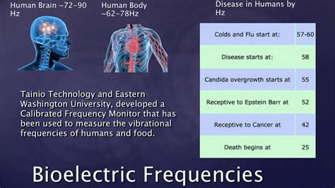 How the Power of Frequency Can Heal Disease • Elevated Infrared Sauna