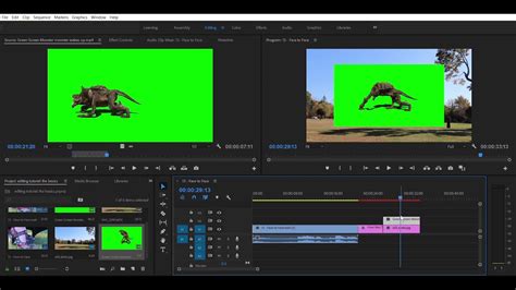 Editing Tutorial Green Screen Ultra Keying On Premiere Pro Youtube