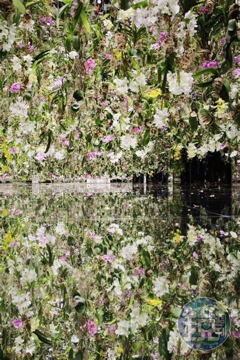 東京直擊有片赤腳涉水走入絕美光影藝術中 teamLab Planets TOKYO挑戰極致版沉浸式體驗 Yahoo奇摩汽車機車