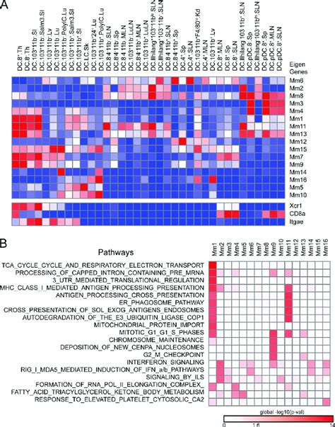 Figure Gene Co Expression Network Analysis Identifies Conserved