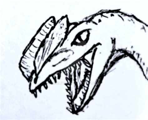 Dilophosaurus Sketch by Hermit03 on DeviantArt