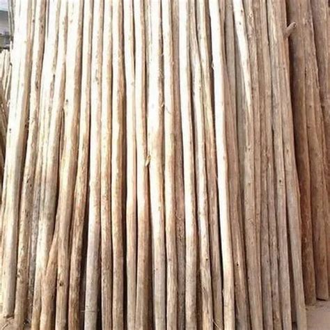 Brown Round Eucalyptus Wooden Balli at Rs 50/piece in Kanpur | ID ...