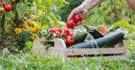 Benefits of Organic Gardening - Organic Gardening for Beginners