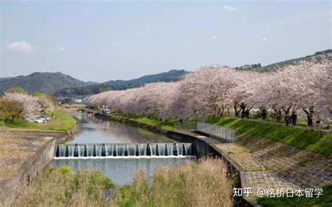 2022日本都道府县魅力值排名来了，日本旅行一定要去 知乎