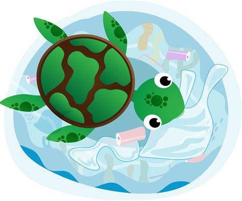 cute turtle png 11024041 PNG