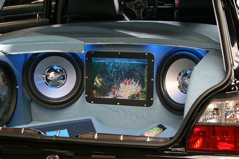 Can Subwoofers Damage Your Car? (Explained + Important Tips)