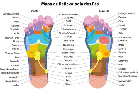 Veja Como Tratar Problemas De Sa De Usando A Reflexologia Nos P S