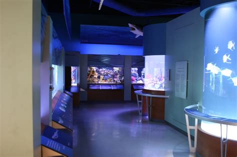 South Florida Science Center & Aquarium | Museum Exhibit Design | AST ...