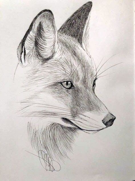 Pin on Cheval dessin in 2024 | Animal drawings, Pencil drawings of animals, Pencil drawings