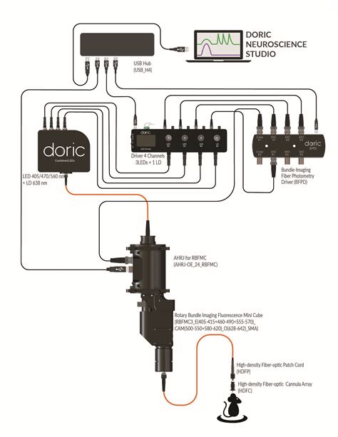 Rotary Bundle Imaging Fluorescence Photometry System Doric Lenses Inc