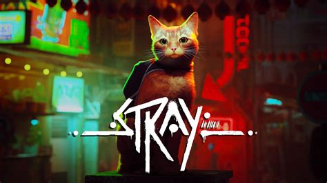 Stray Game Wallpapers - Top Free Stray Game Backgrounds - WallpaperAccess