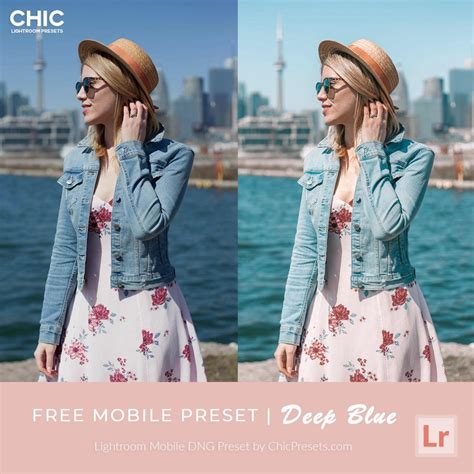 Free Lightroom Mobile Dng Presets Chic Lightroom Presets