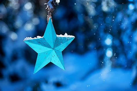 blue star lavish cards fine art corporate greeting cards