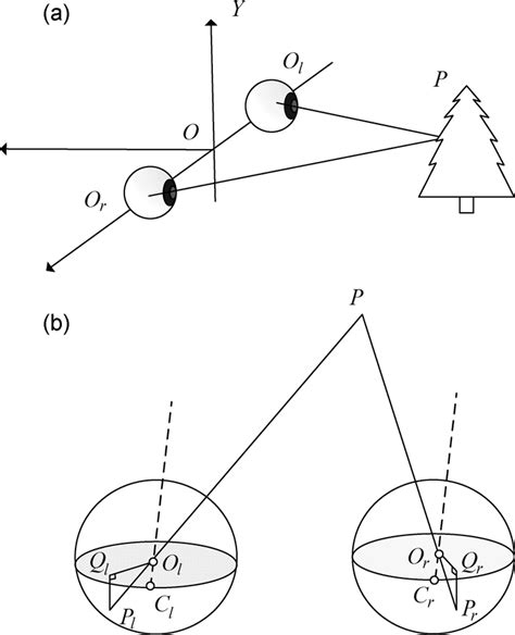 Binocular Vision System In Natural Scenes Assuming Two Eyes Are Fix Download Scientific Diagram