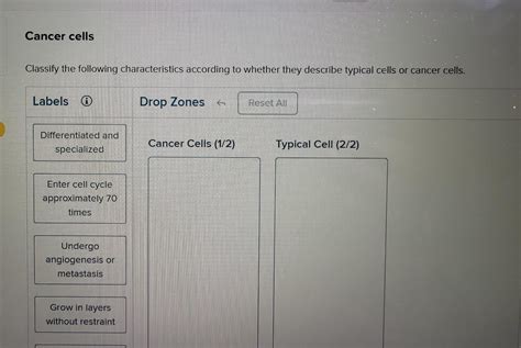 Solved Classify The Following Characteristics According To