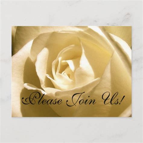 Please Join Us! Invitation Postcard Cream Rose | Zazzle.com