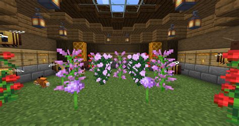 Bee house (NON-AUTOMATIC) Minecraft Map