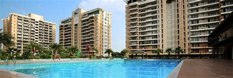 Dlf The Arbour Sector Gurgaon Flats For Sale