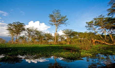 Lake Naivasha - Safari Rim