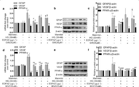 A Ppar Signal Was Involved In The Inhibition Effects Of Eofaz On Rmcs