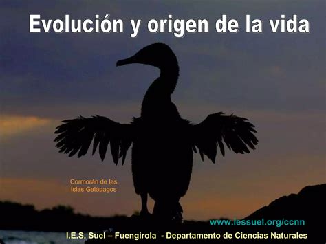 Evoluci N Fijismo Y Evolucionismo Ppt